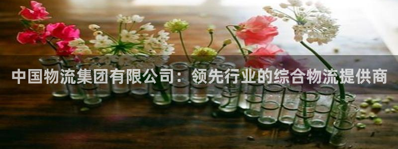28圈加拿大走势：中国物流集团有限公