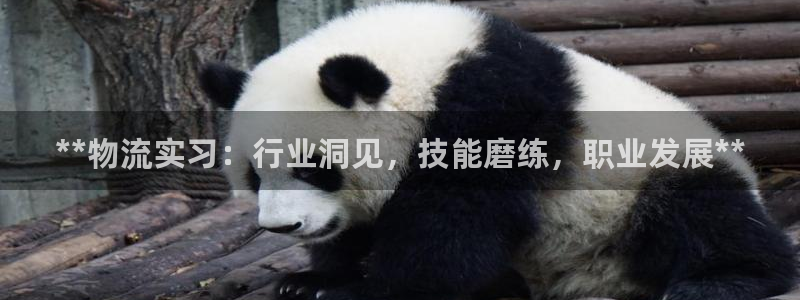 28圈昵称：**物流实习：行业洞见，