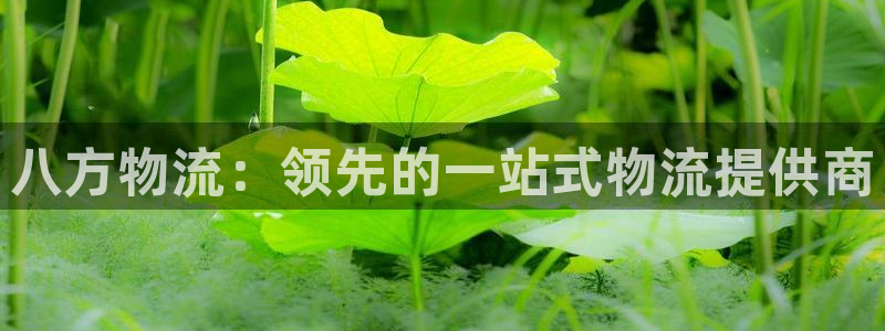自行车28圈是什么意思