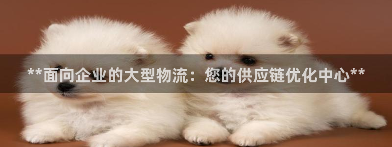 28圈app赢了500万