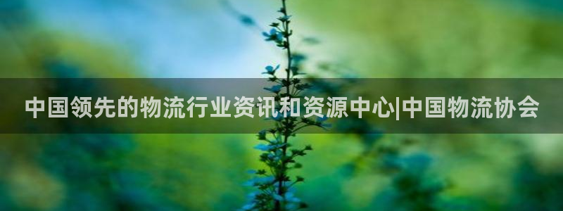 28圈.ccm2024