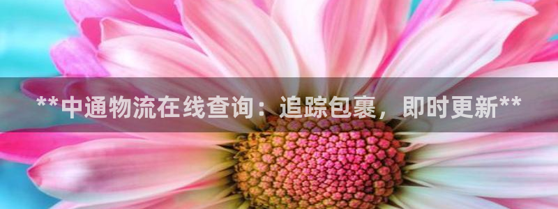 28圈官方官网：**中通物流在线查询