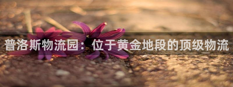 28圈.ccm2024：普洛斯物流园