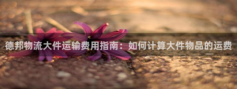 28圈注册送：德邦物流大件运输费用指