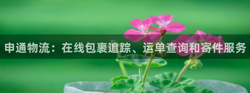 28圈现在狂杀