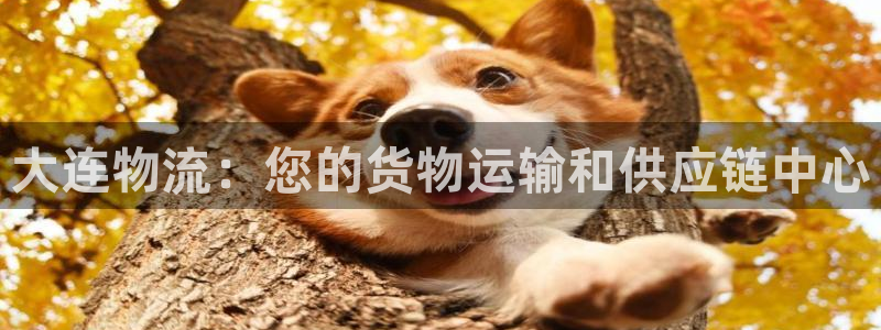 28圈注册链接：大连物流：您的货物运