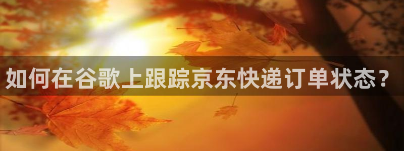 28圈注册链接教程：如何在谷歌上跟踪
