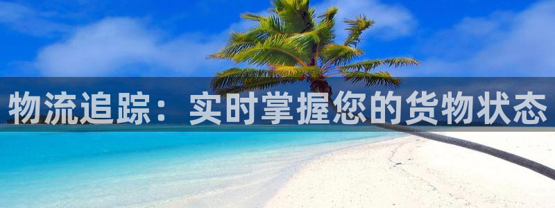 28圈注册网站谁有：物流追踪：实时掌