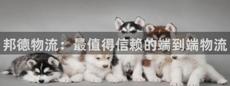 28圈口戒指是多大