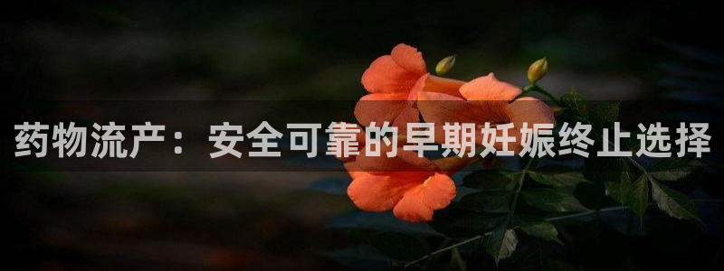 28圈登录流程：药物流产：安全可靠的