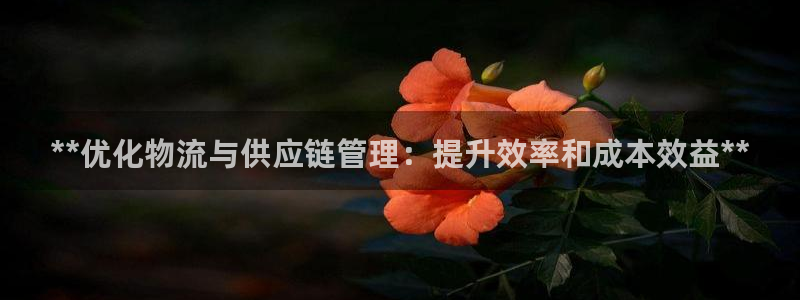 28圈头像