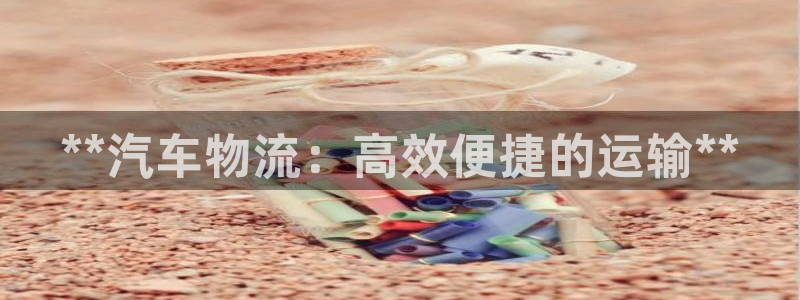 28圈怎么注册：**汽车物流：高效便