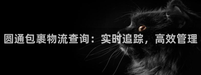 28圈