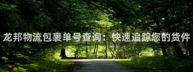 28圈p扣除
