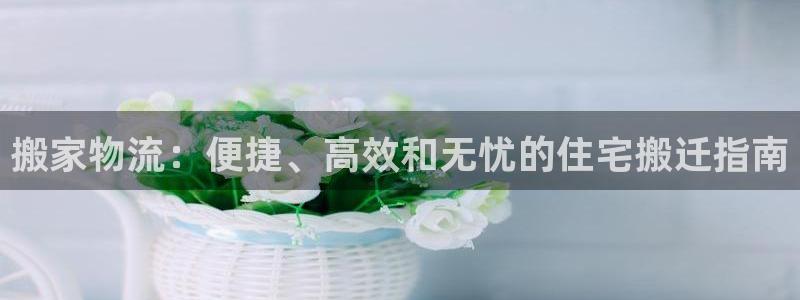 28圈.ccmpcios