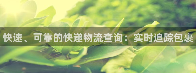 28圈登录网：快速、可靠的快递物流查