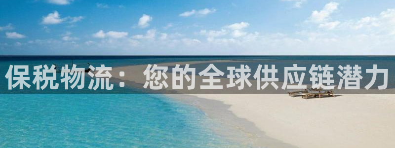 28圈模拟器在线玩：保税物流：您的全