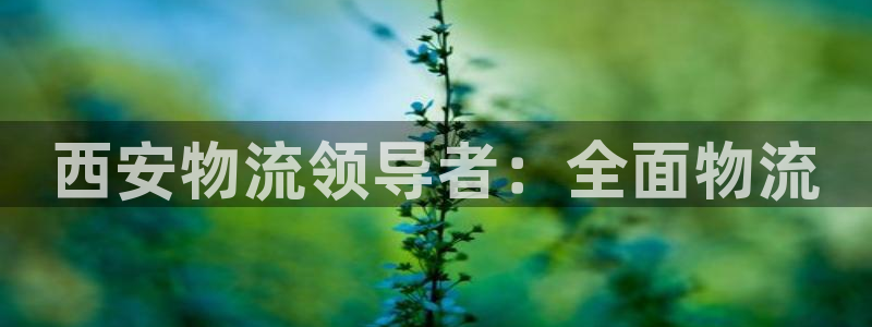 28圈游戏