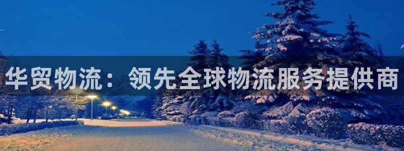 28圈注册网址：华贸物流：领先全球物