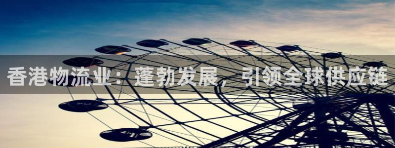 28圈取保：香港物流业：蓬勃发展，引