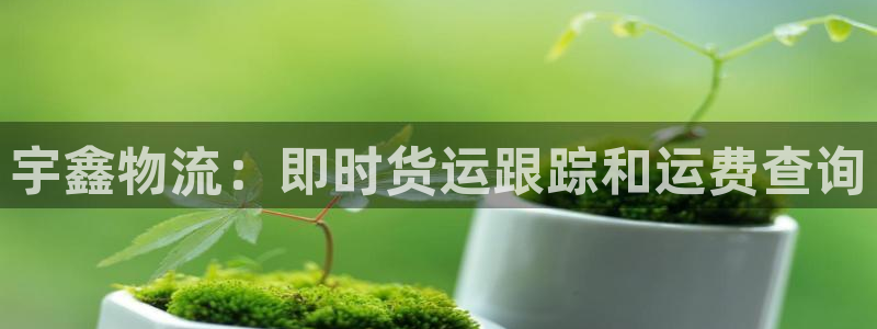 28圈预测加拿大师准