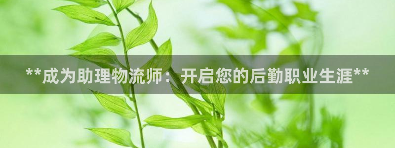 28圈官方网站：**成为助理物流师：