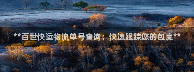 28圈昵称：**百世快运物流单号查询