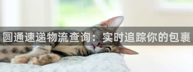 28圈退款：圆通速递物流查询：实时追