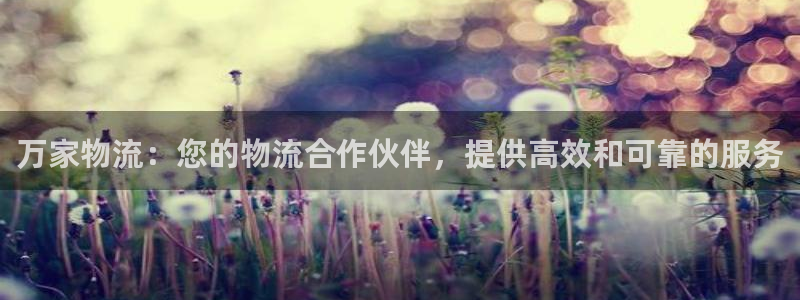 28圈h5链接