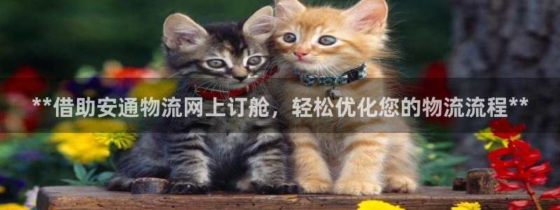 南宫28圈官网版