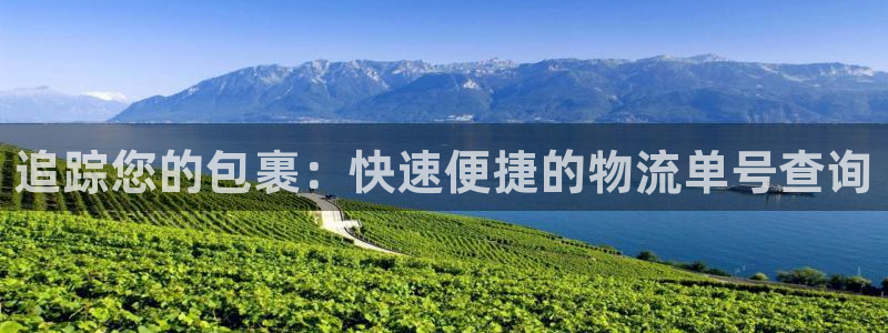 28圈注册网页：追踪您的包裹：快速便