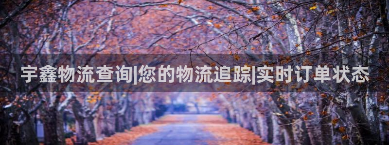28圈口内径是多大