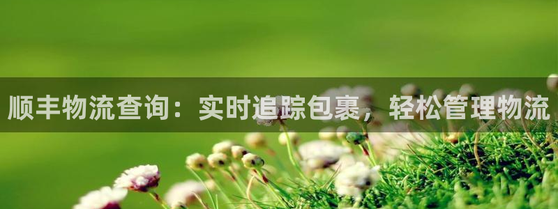 28圈注册网址：顺丰物流查询：实时追