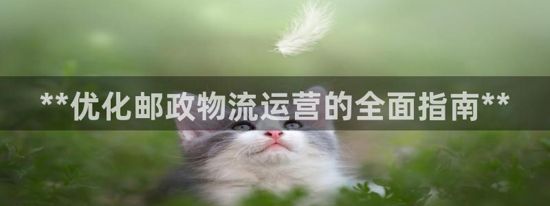 28圈怎么下载不了：**优化邮政物流