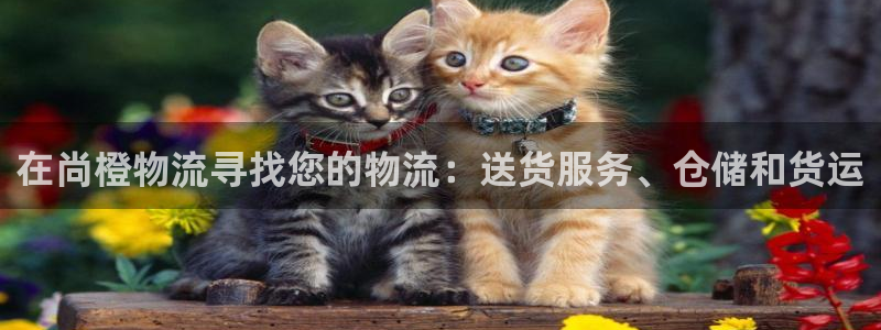 28圈分分28预测：在尚橙物流寻找您