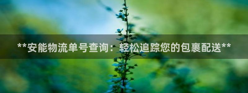 28圈注册官网：**安能物流单号查询
