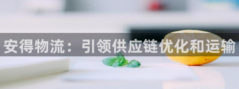 28圈.ccm2024：安得物流：引