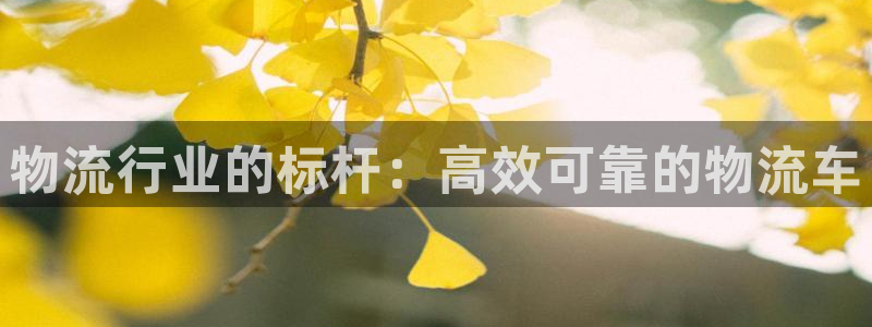 28圈注册用户名是什么：物流行业的标
