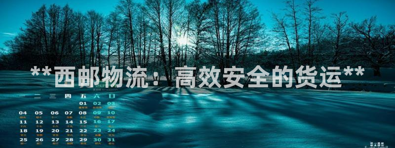 28圈.ccmpc预测