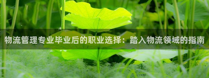 28圈充值不到账