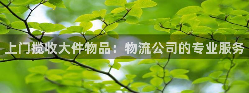 28圈.ccm