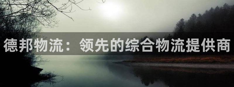 28圈开奖预测：德邦物流：领先的综合