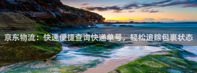 28圈官方平台