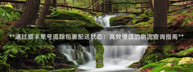 28圈吧：**通过顺丰单号追踪包裹配