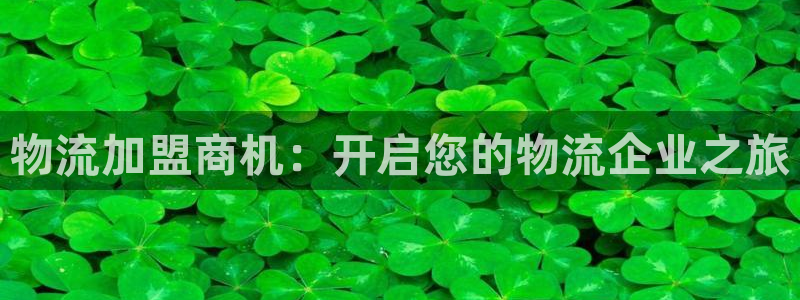 28圈链接是什么