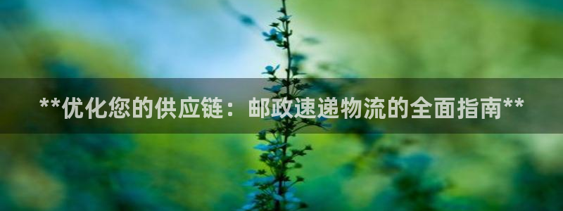 28圈体育下载：**优化您的供应链：