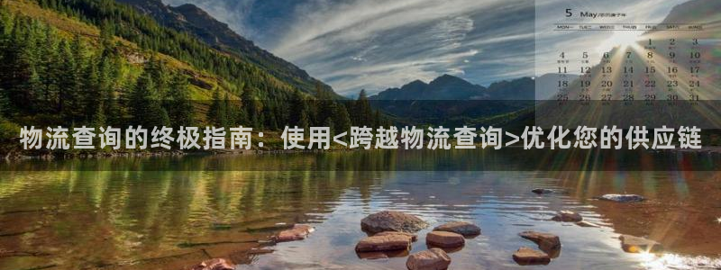 28圈官方版网站：物流查询的终极指南