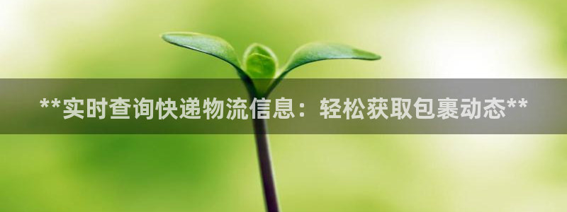 28圈预测