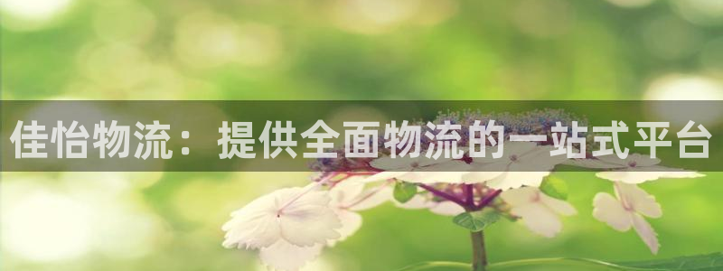 28圈官方平台：佳怡物流：提供全面物