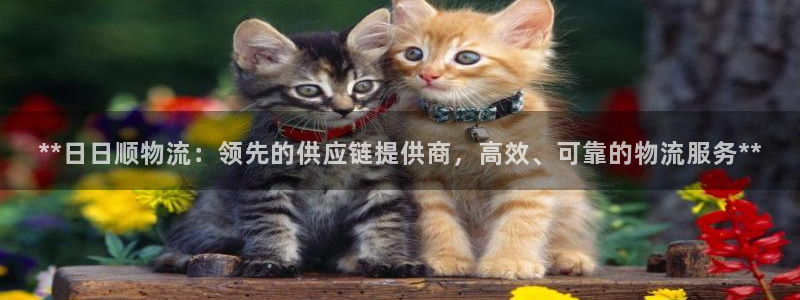 28圈麻将